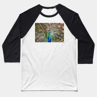 A Peacock Doing its Thing Baseball T-Shirt